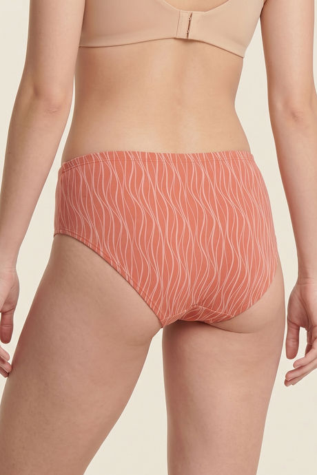 Zivame Regular Rise Full Coverage Hipster Panty (Pack of 3) - Multicolor — image 11